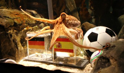 20100707_442281_01.jpg
