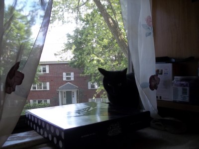 Had to put the box in there:)