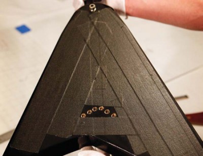 Randys black v back.jpg