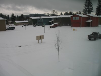 November December 2008 053.JPG