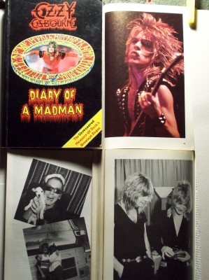 Ozzy Diary book Mick Wall.jpg