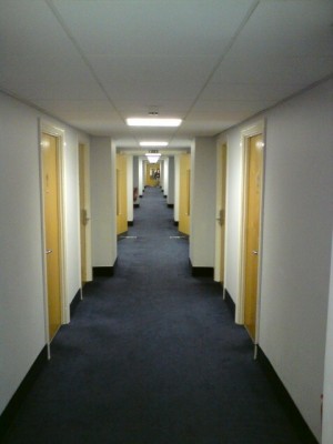 DSC00565.JPG.jpeg